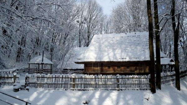 Старовинна дерев'яна хата та оборіг під снігом